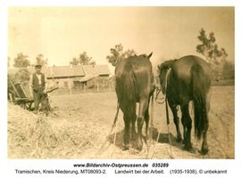 Trammen, Kreis Elchniederung 