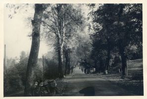 Griesen, Kreis Treuburg Griesen, Straße nach Griesen-Waldkater Гризен, дорога на Гризен-Вальдкатер