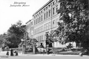 Königsberg (Pr.), Stadtkreis Königsberg Besselstraße