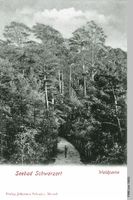 Schwarzort, Kreis Memel 