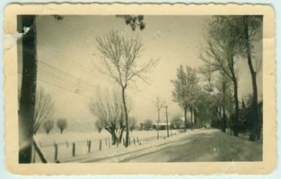 Kuckerneese, Ort, Kreis Elchniederung Hafenstraße