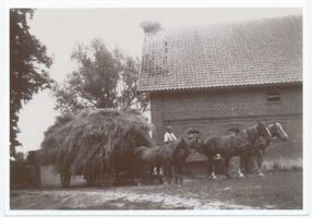 Oberschwalben, Kreis Insterburg Oberschwalben, Hof Endruweit, die Heuernte wird eingefahren 
