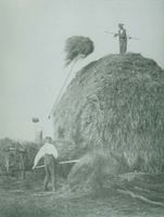 Tawellenbruch, Ort und Forstamt, Kreis Elchniederung 