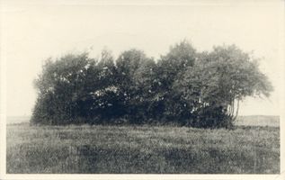 Mandtkeim, Kreis Samland Mandtkeim, Heidnischer Grabhügel Мандткайм, языческий курган
