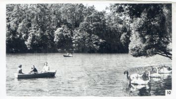 Rauschen Kr. Samland, Kreis Samland Rauschen Kr. Samland, Der stille See 