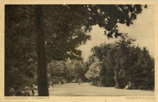 Königsberg (Pr.), Stadtkreis Königsberg Königsberg (Pr.), Tiergarten, Promenadenweg Königsberg, Tiergarten