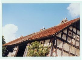 Mulden Kr. Gerdauen, Kreis Gerdauen Mulden, Gasthaus Schirmacher - ehemaliges Nebengebäude Mulden Kreis Gerdauen, Fotos nach 1945