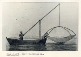  Kurisches Haff, Der Senkhamen Kurisches Haff, Fischerei