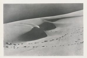  Kurische Nehrung, Dünen, Blick vom Dünenkamm auf das Haff Kurische Nehrung, Dünen, Sandstrukturen
