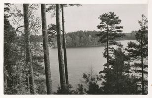  Niedersee (See), Blick zur Königsinsel VII Masuren, Niedersee