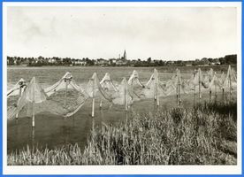 Ortelsburg, Stadt, Kreis Ortelsburg Ortelsburg, Haussee, Fischernetze Ortelsburg, Haussee
