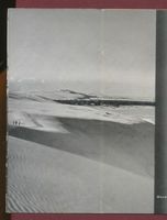 Kurische Nehrung, Wanderdünen Kurische Nehrung, Dünen, Sandstrukturen