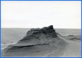  Kurische Nehrung, Dünenbildung 