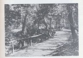 Königsberg (Pr.), Stadtkreis Königsberg Hufenallee Königsberg, Hufenallee, Park Luisenwahl Königsberg, Stadtteil Hufen