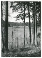 Masuren, Wald am Marschner See Masurische Seen