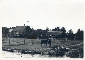  Frische Nehrung, Häuser auf der Nehrung Frische Nehrung - Frisches Haff