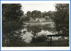 Rauschen Kr. Samland, Kreis Samland Rauschen Kr. Samland, Teichpartie IV Раушен, р-н Самбия, участок у пруда, IV