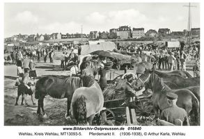 Wehlau, Kreis Wehlau 