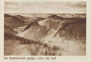  Kurische Nehrung, Kupstenterrain II Куршская коса, купстенская местность, II