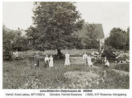 Viehof, Kreis Labiau 