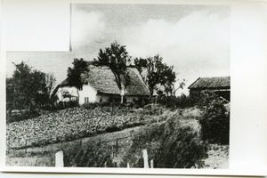 Tharau, Kreis Preußisch Eylau 