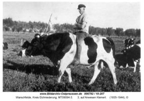 Warschfelde, Kreis Elchniederung 