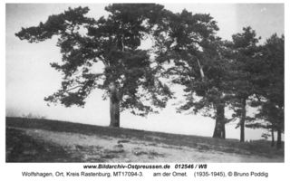 Wolfshagen Kr. Rastenburg, Ort, Kreis Rastenburg 