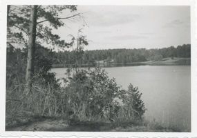  Masuren, Guthasee bei Balden Мазурия, озеро Гута у Бальдена