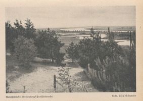 Weißenberg, Kreis Stuhm Weißenberg, Weichselblick (Dreiländereck) Вайсенберг, вид на Вислу (стык трёх границ)