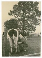 Adlig Linkuhnen, Kreis Elchniederung 