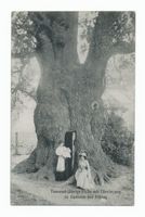 Cadinen, Kreis Elbing 