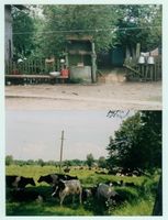 Skuldeinen, Kreis Elchniederung 