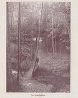 Neukuhren, Kreis Samland Neukuhren, Im Lachsbachtal 