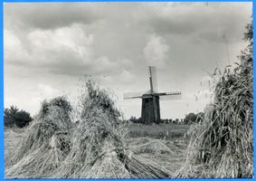 Neufrost, Kreis Elchniederung Neufrost, Windmühle am Getreidefeld Elchniederung, Mühlen