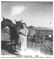 Herdenau, Kreis Elchniederung 