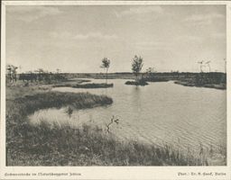  Zehlauer Bruch, Hochmoorteiche im Naturschutzgebiet Zehlau Целауэр Брух, верховые болотные озёрца в заповеднике Целау