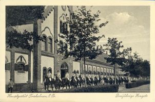 Groß Trakehnen, Kreis Ebenrode Groß Trakehnen, Dreijährige Hengste 
