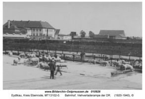 Eydtkau, Kreis Ebenrode  
