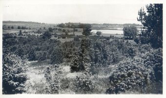 Kollaten, Kreis Memel Kollaten, Kollater Heide II Коллатен, Коллатерская пустошь, II