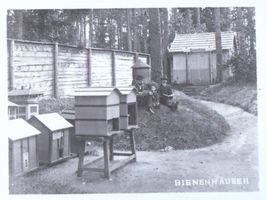 Tilsit, Stadt, Stadtkreis Tilsit 