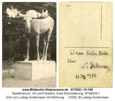 Tawellenbruch, Ort und Forstamt, Kreis Elchniederung 