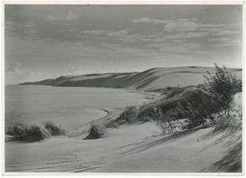  Kurische Nehrung, Dünen bei Rossitten Куршская коса, дюны у Росситтена