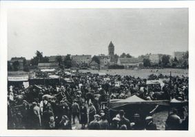 Wehlau, Kreis Wehlau Wehlau, Pferdemarkt auf den Schanzenwiesen II Wehlau, Pferdemarkt