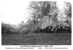 Pamletten, Gut, Kreis Tilsit-Ragnit  