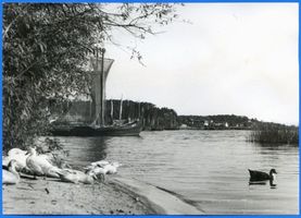 Nidden, Kreis Memel Nidden, Blick auf Fischerkähne und Dorf Nidden, Kurenkähne im Hafen und am Haffstrand