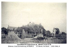 Brittanien, Kreis Elchniederung 