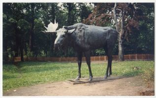Königsberg (Pr.), Stadtkreis Königsberg Königsberg (Pr.), Tiergarten, Elchdenkmal Königsberg, Tiergarten