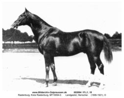 Rastenburg, Stadt, Kreis Rastenburg Sembeckstraße