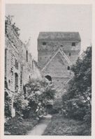 Balga, Kreis Heiligenbeil Balga, Burgruine 