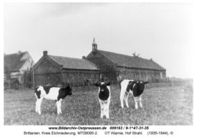 Brittanien, Kreis Elchniederung 